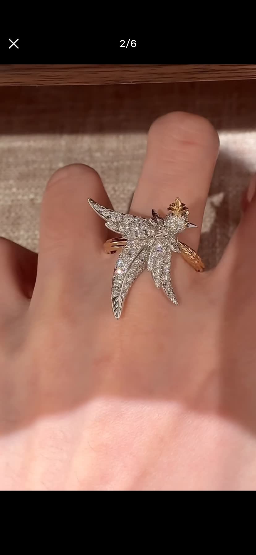 Bird Ring-TJ1275